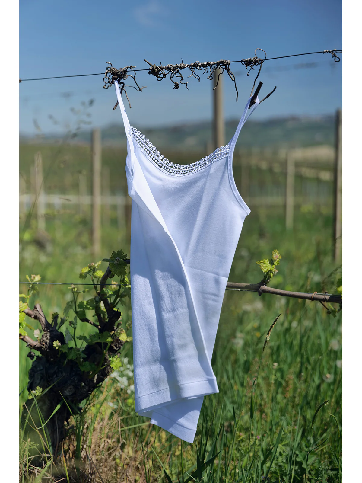 Tank Top In Pure Certified Filoscozia Cotton - WHITE - Image 6